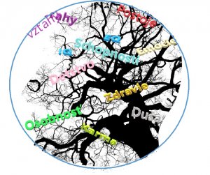 Terapie, poradenstvo